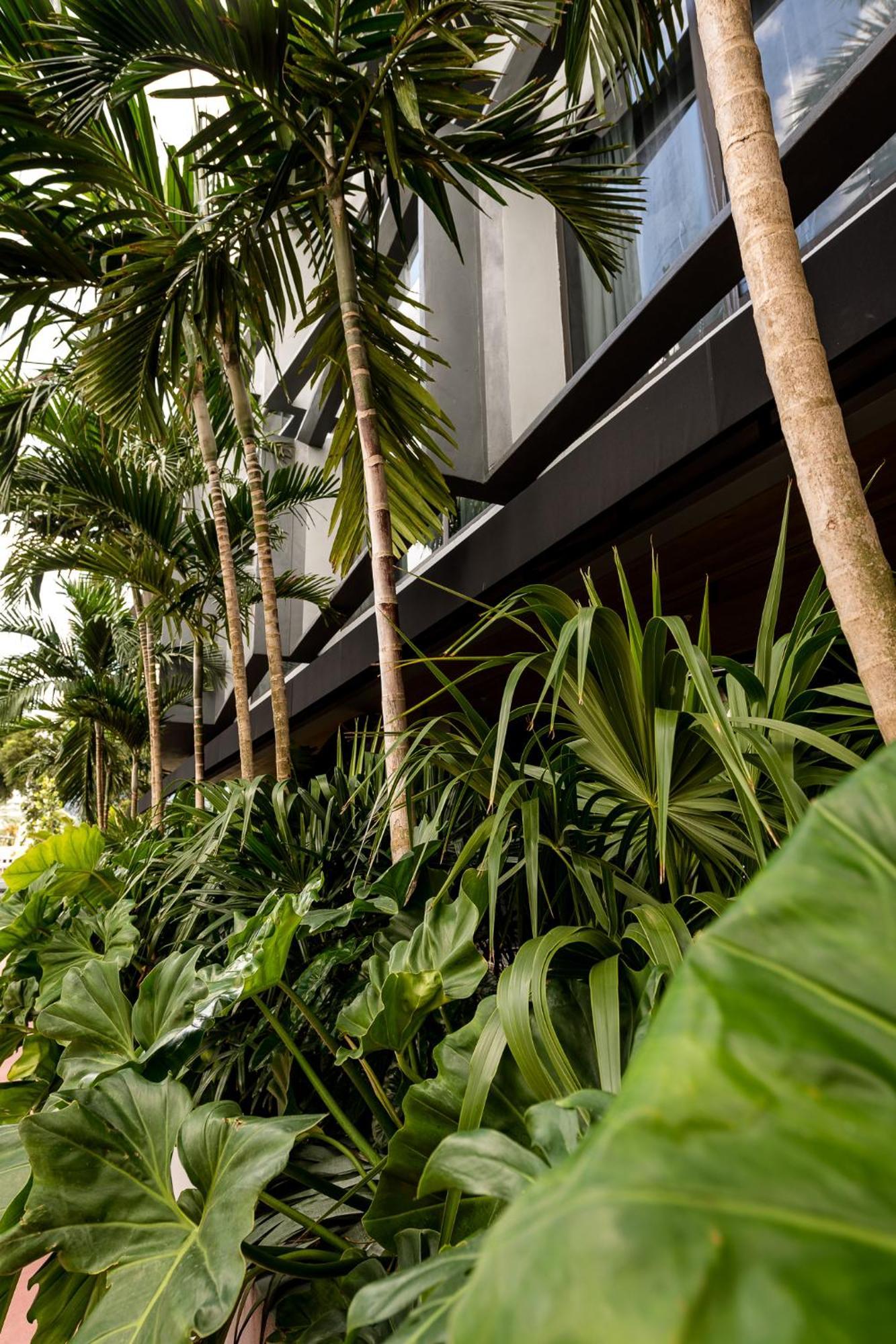 The March Hotel Miami Beach Exteriér fotografie